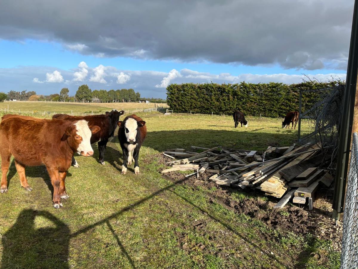 Bed and Breakfast Ra-Ata Farm Rangiora Zewnętrze zdjęcie